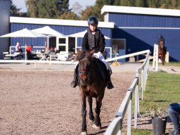 IMG_7281_web